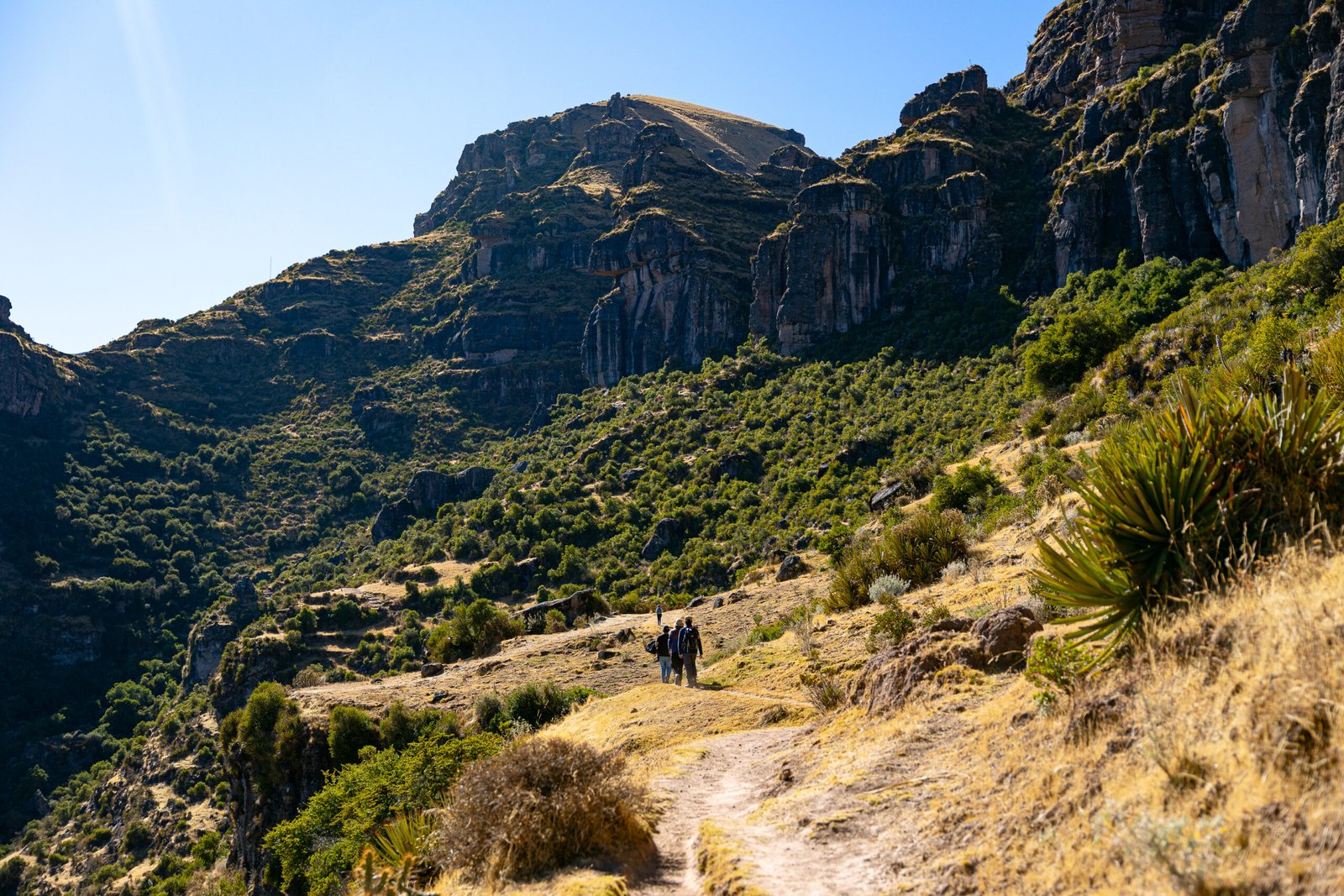 WAQRAPUKARA TREK FULL DAY TOUR