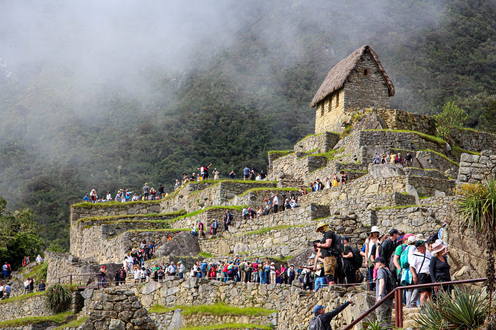 MACHU PICCHU DAY TOUR FROM CUSCO