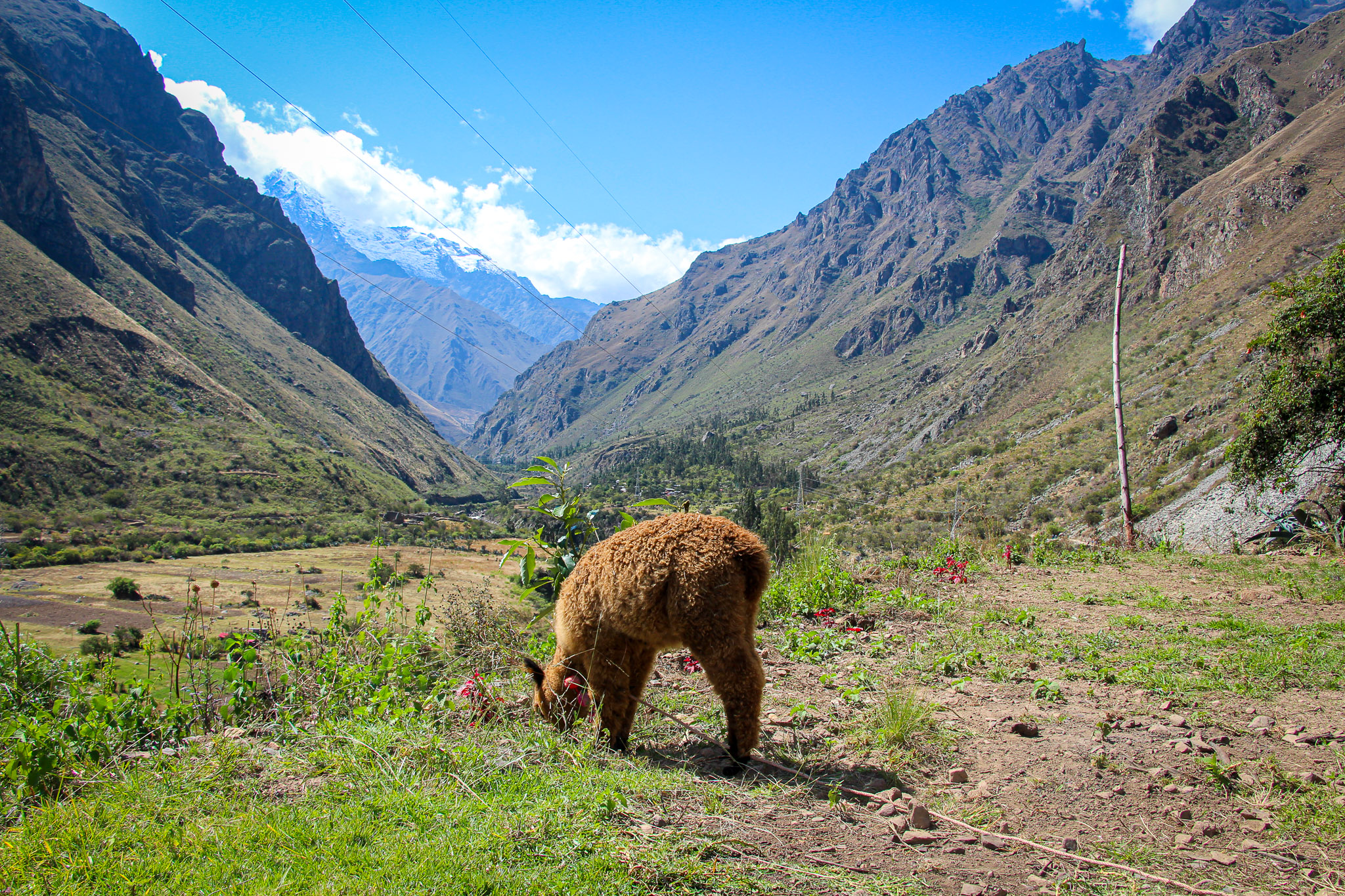 INCA TRAIL 4 DAYS HIKE TO MACHU PICCHU