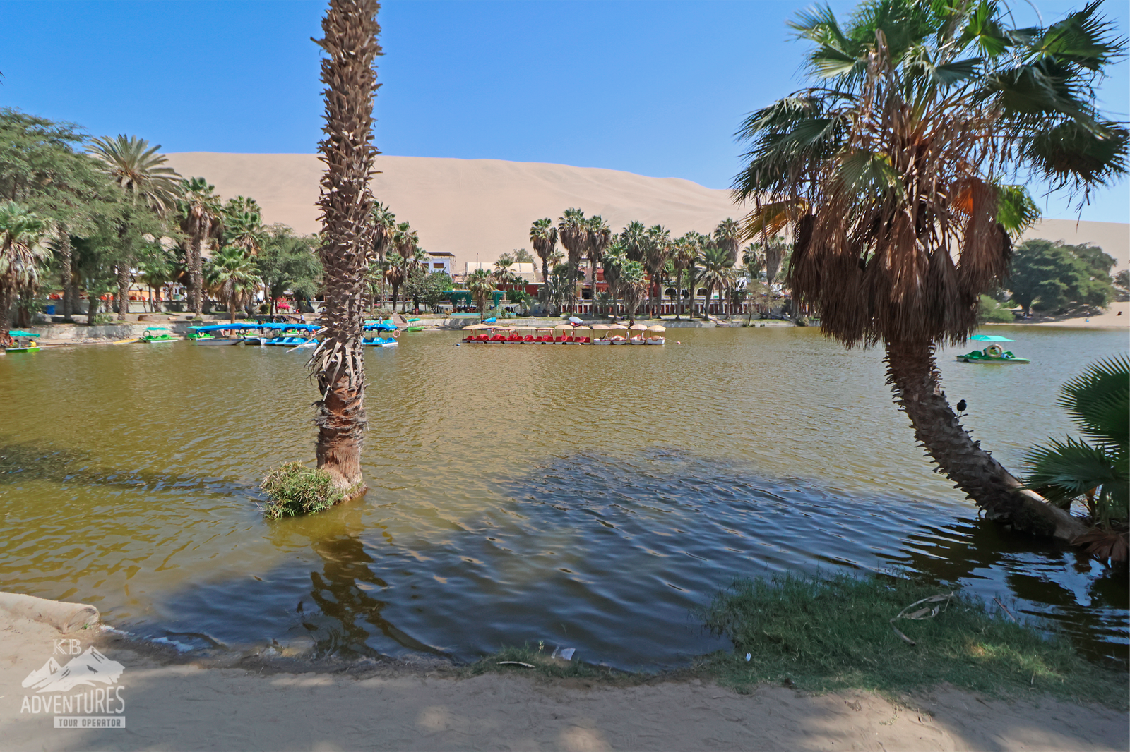 LIMA TO HUACACHINA & PARACAS FULL DAY TOUR