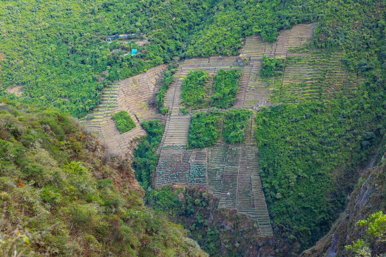 CHOQUEQUIRAO TREK 4 DAYS