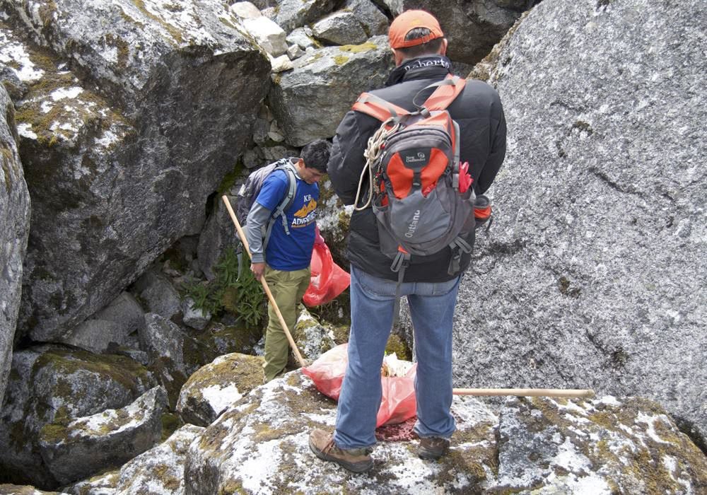 Sharing the Joy of Christmas