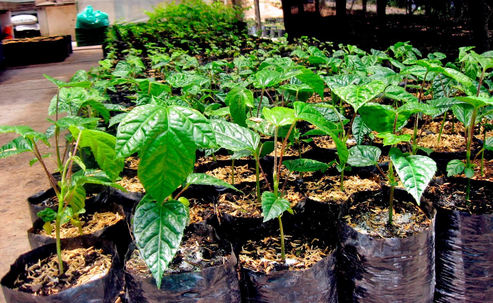 Awareness and Volunteering