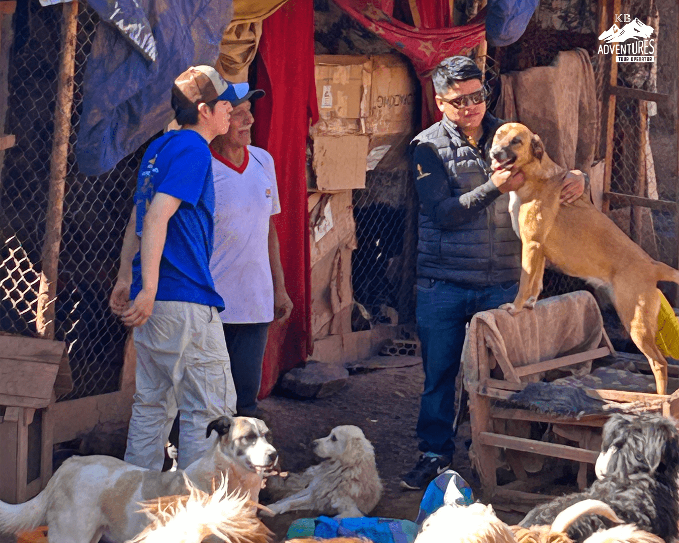 Caring for animals in our community